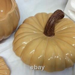 William Sonoma Pumpkin soup Tureen w /lid with 8 pumpkin bowls with lids